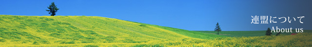 連盟について
 About us